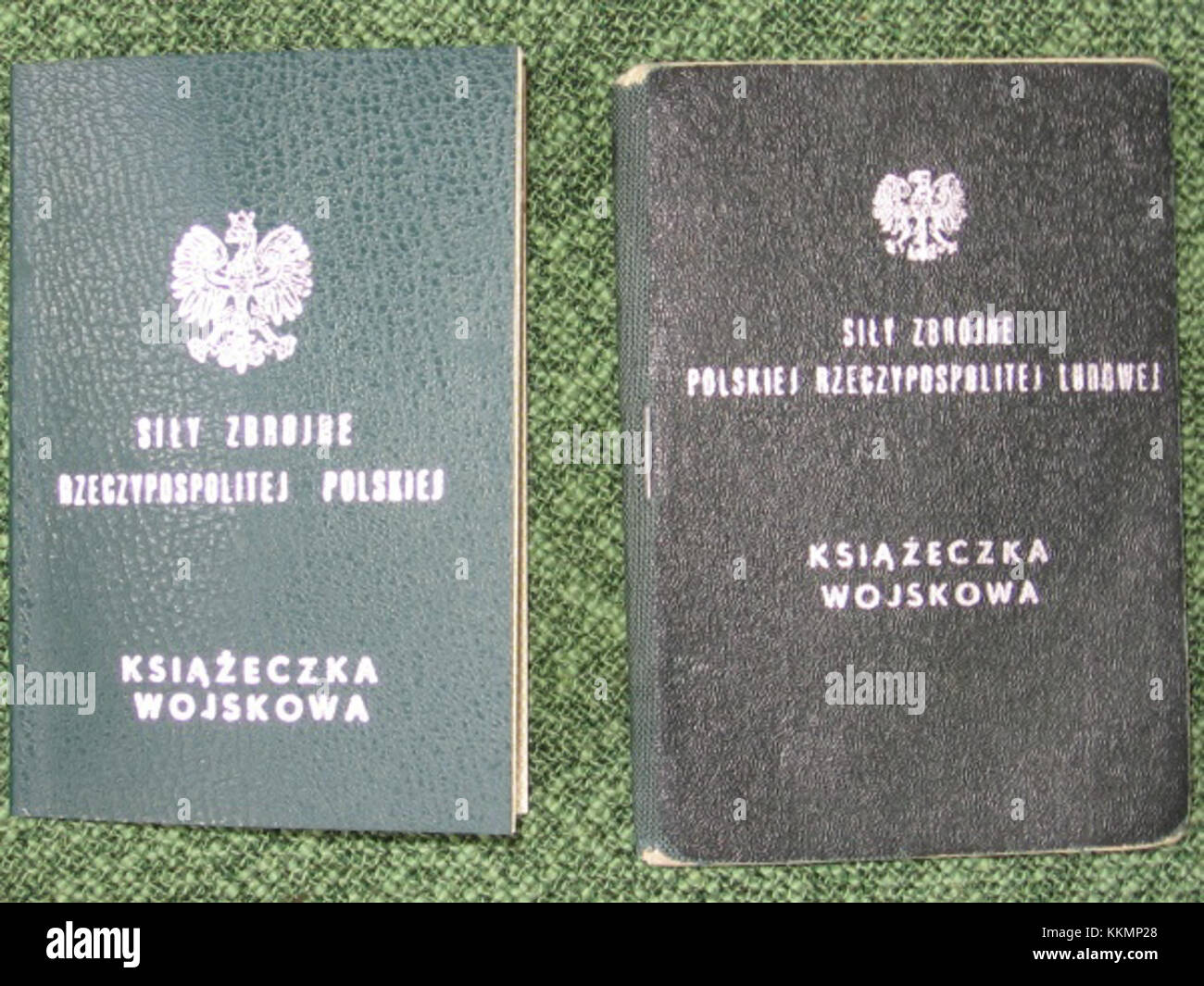 Polish Ref Książeczka 2004, a reference likely tied to a Polish publication or ...