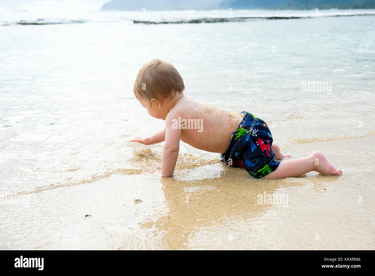 One Year Old In Pacific Ocean Stock Photo