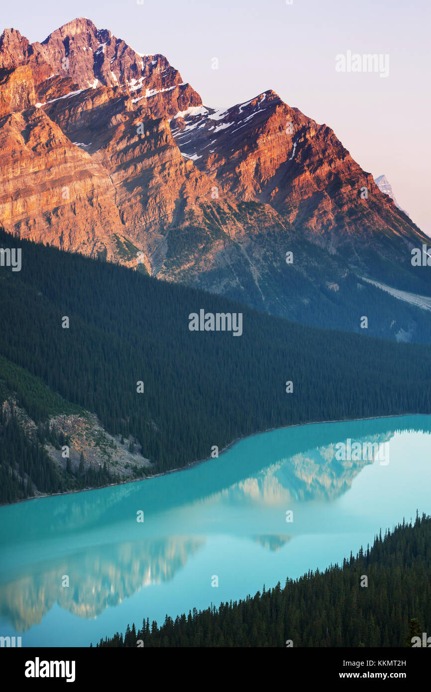 Peyto Lake in Banff National Park, Canada Stock Photo - Alamy