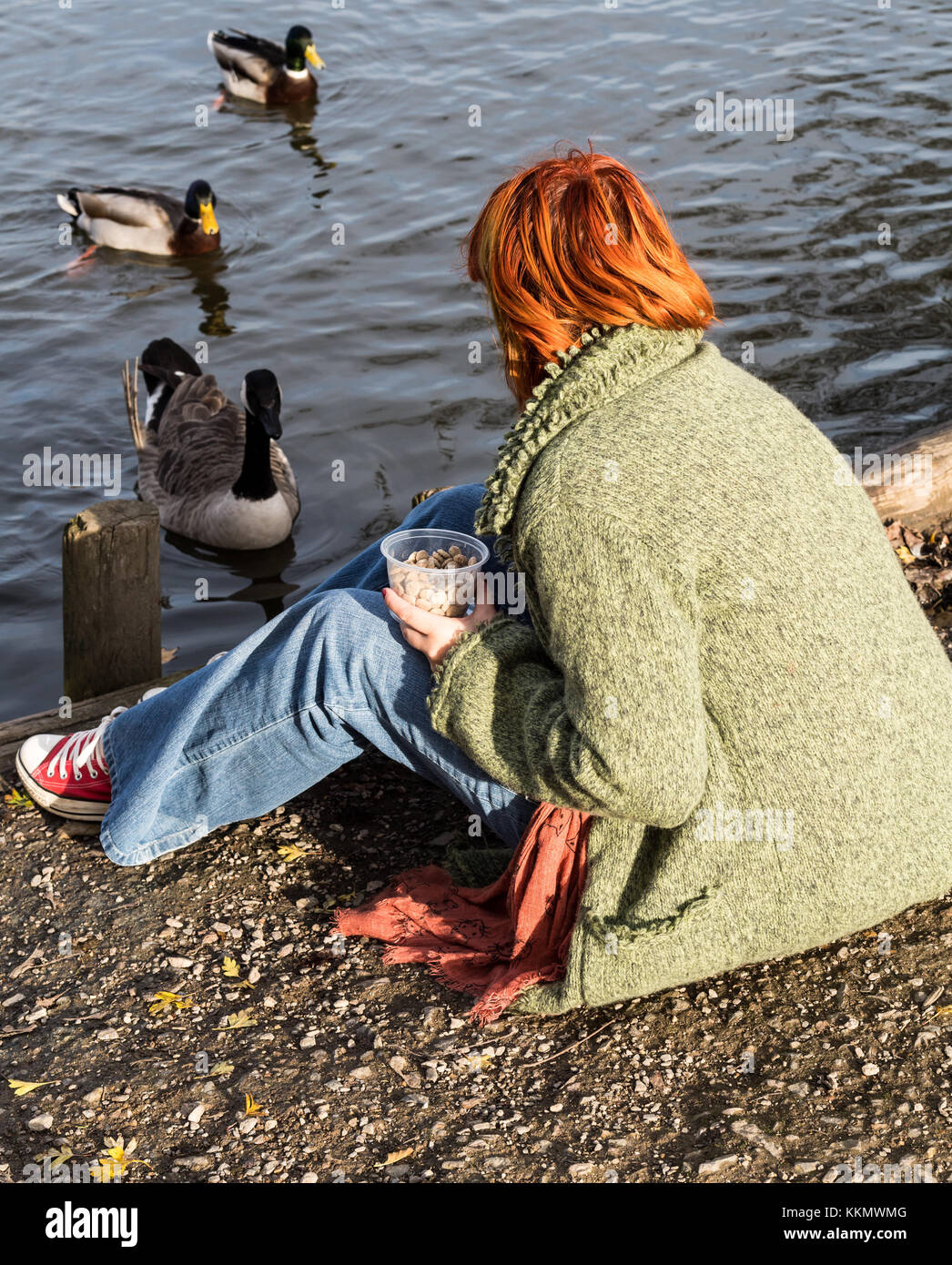 Beautiful girl in park feeding ducks Stock Photo