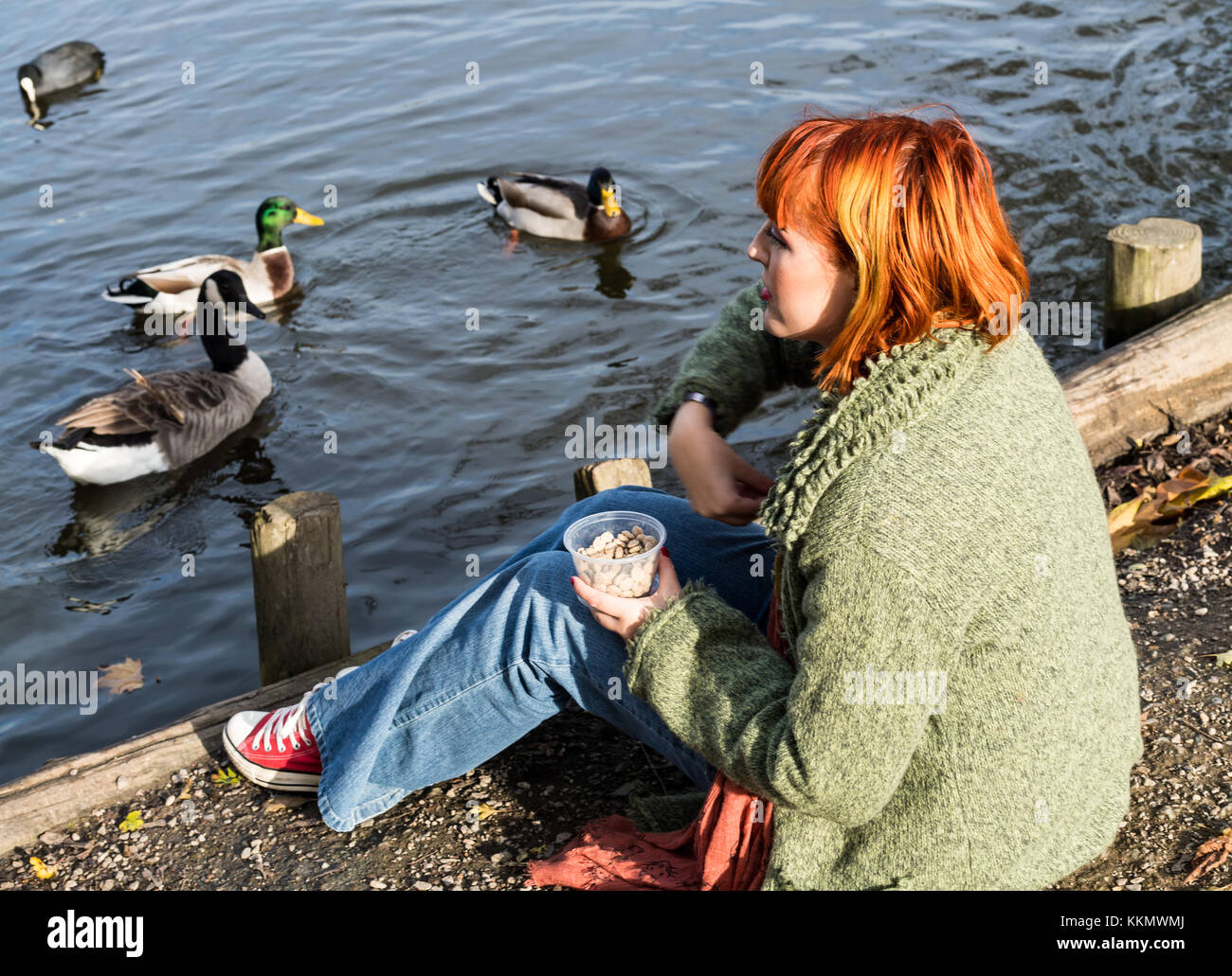 Beautiful red headed girl in park feeding ducks in fall Stock Photo