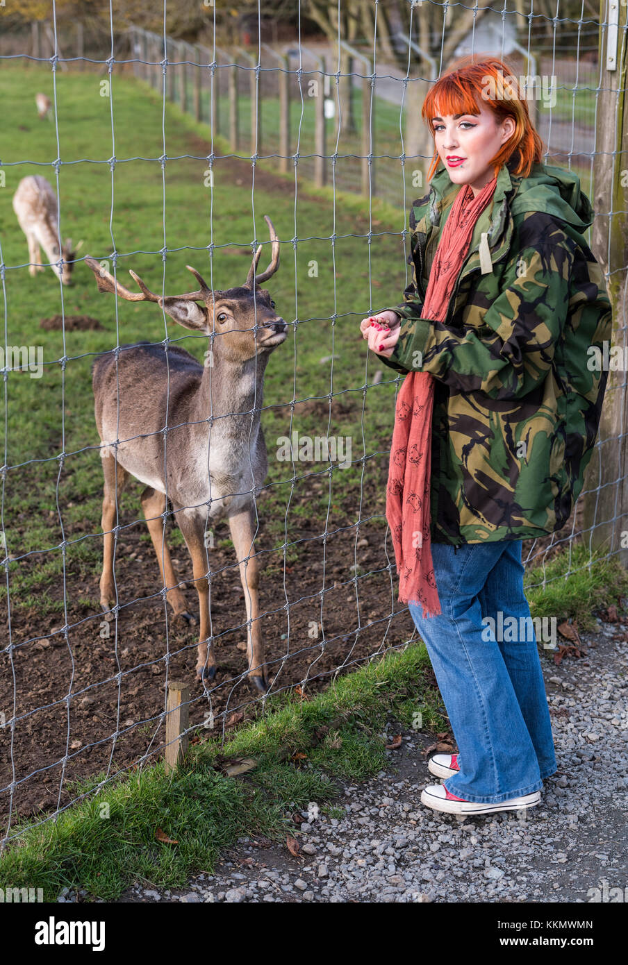 Girl in park in autumn feeds deer Stock Photo