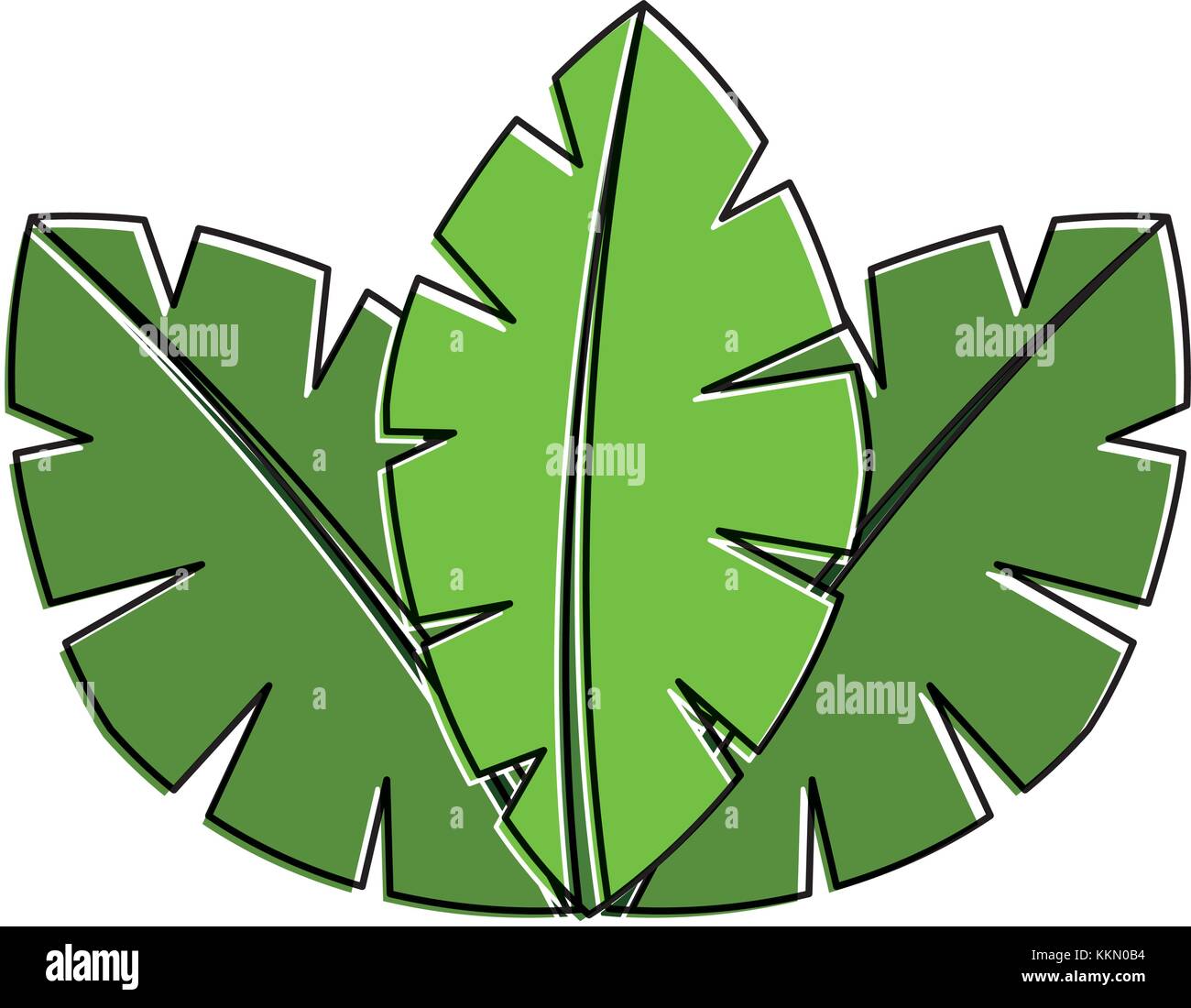 tropical leaves of palm tree flora image Stock Vector Image & Art - Alamy