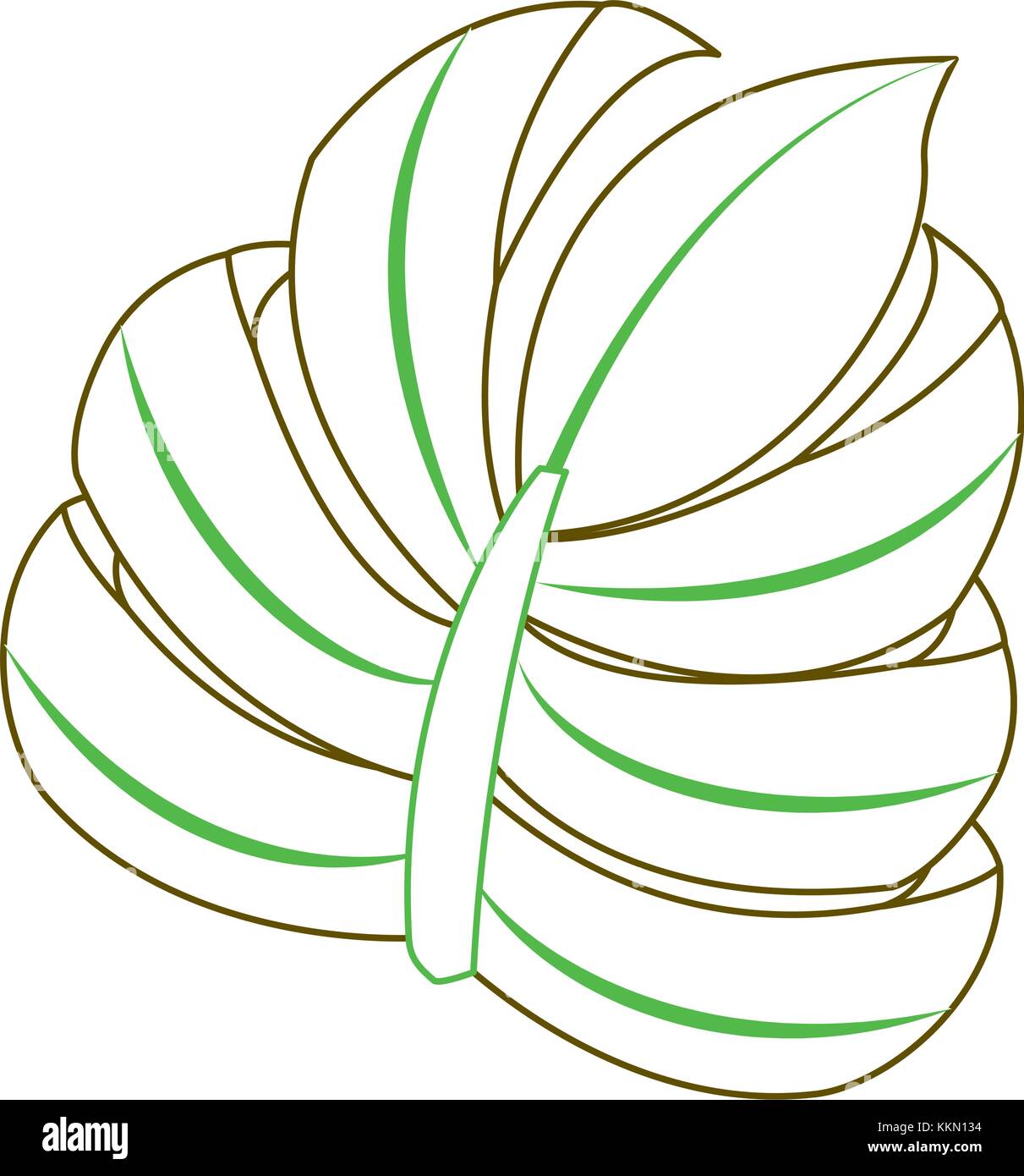 tropical palm leaf jungle floral icon Stock Vector Image & Art - Alamy
