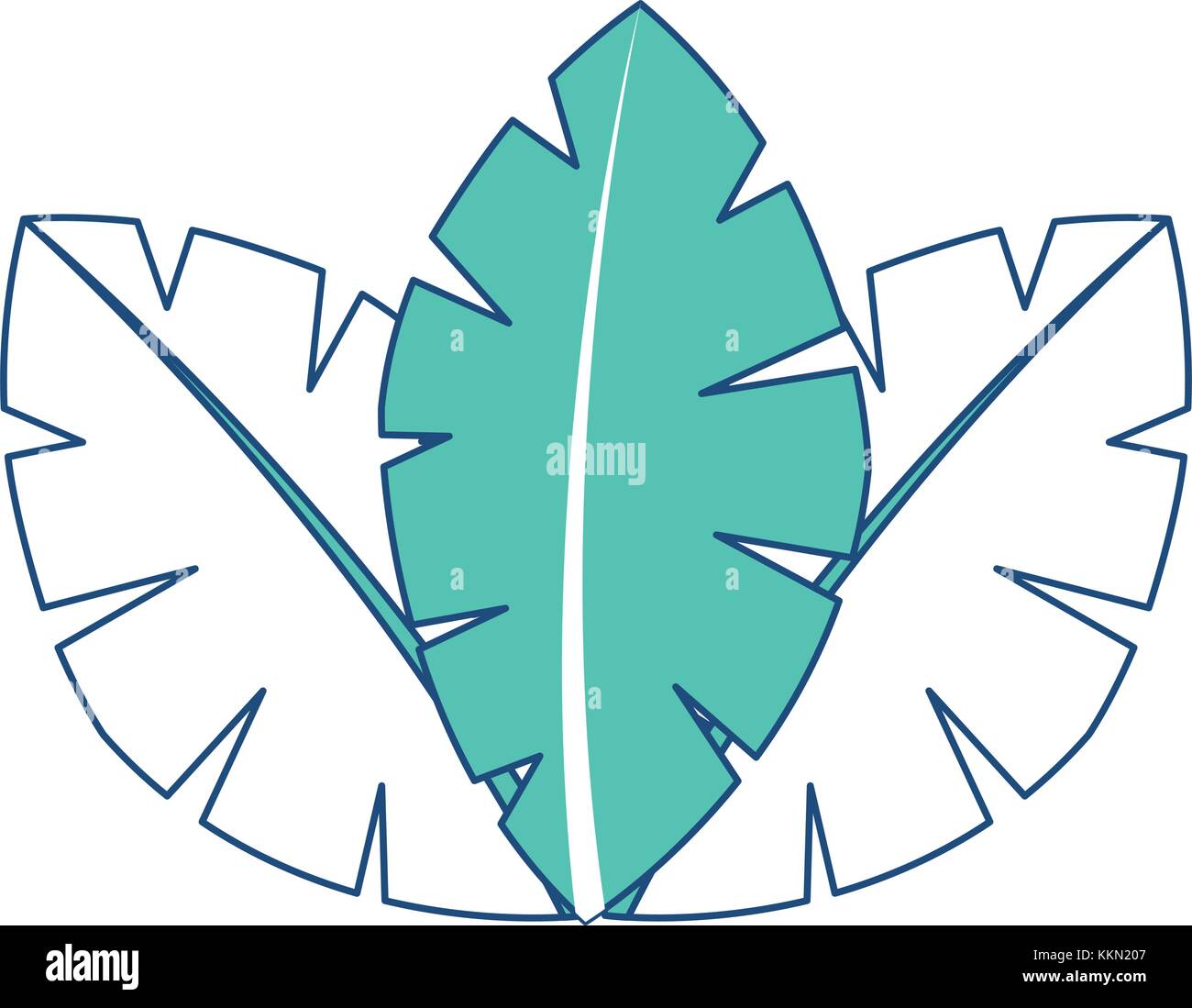 tropical leaves of palm tree flora image Stock Vector Image & Art - Alamy