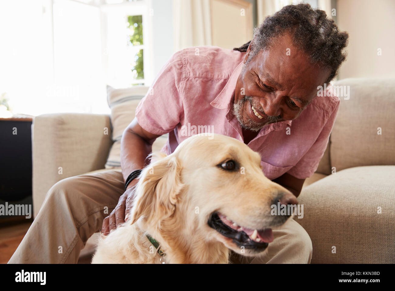 Senior Man Sitting On Sofa At Home With Pet Labrador Dog Stock Photo