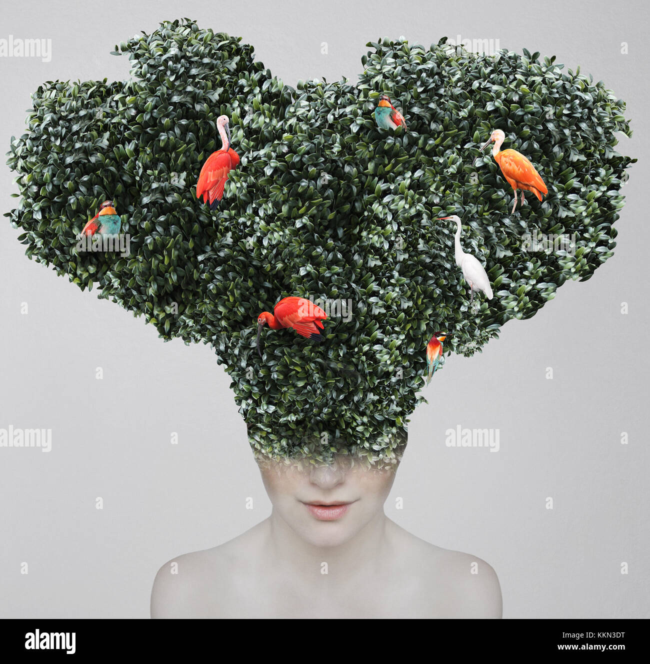 Artistic surreal portrait of a girl with a huge headgear of foliage and colorful birds on it isolated on light grey background Stock Photo