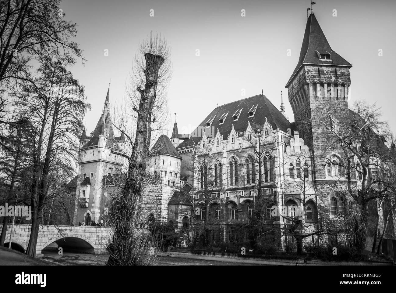 Castle of Vajdahunyad in Budapest The Capital of Hungary Europe, parts and fragments of architecture with a facade Stock Photo