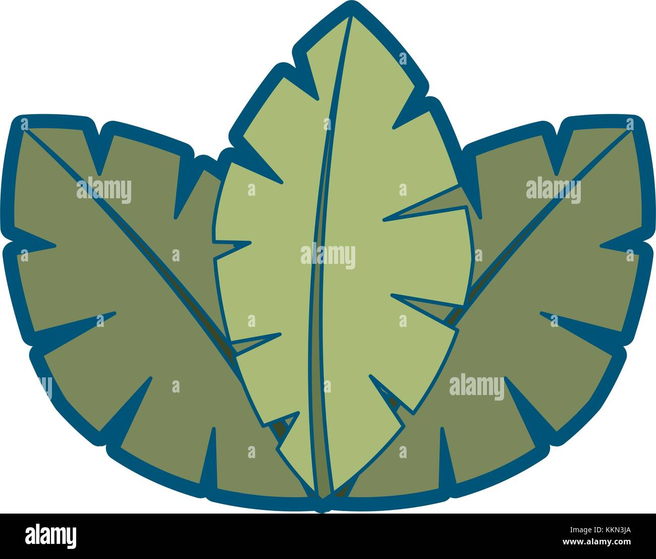 tropical leaves of palm tree flora image Stock Vector Image & Art - Alamy
