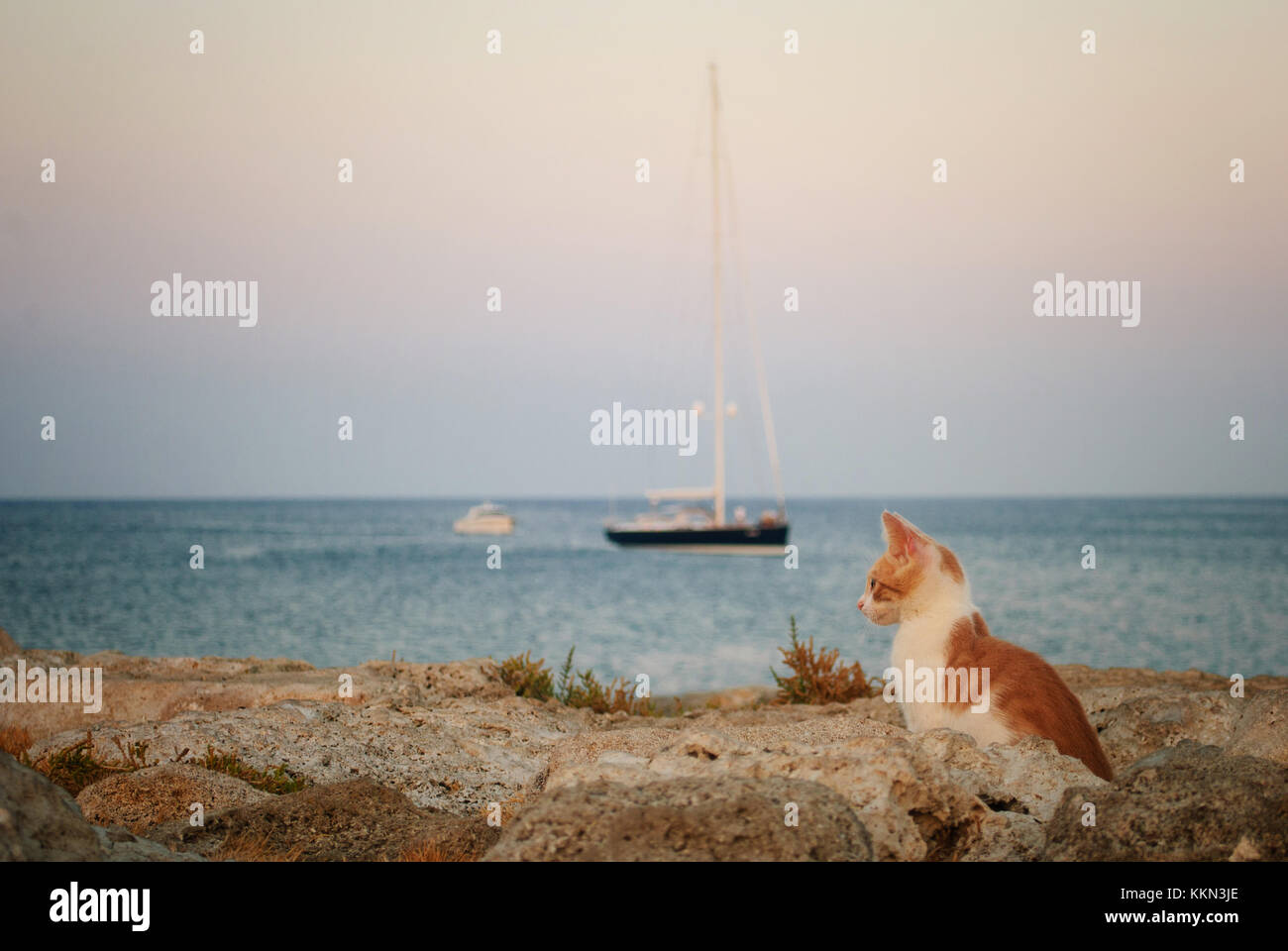 Sharp rocks hi-res stock photography and images - Alamy