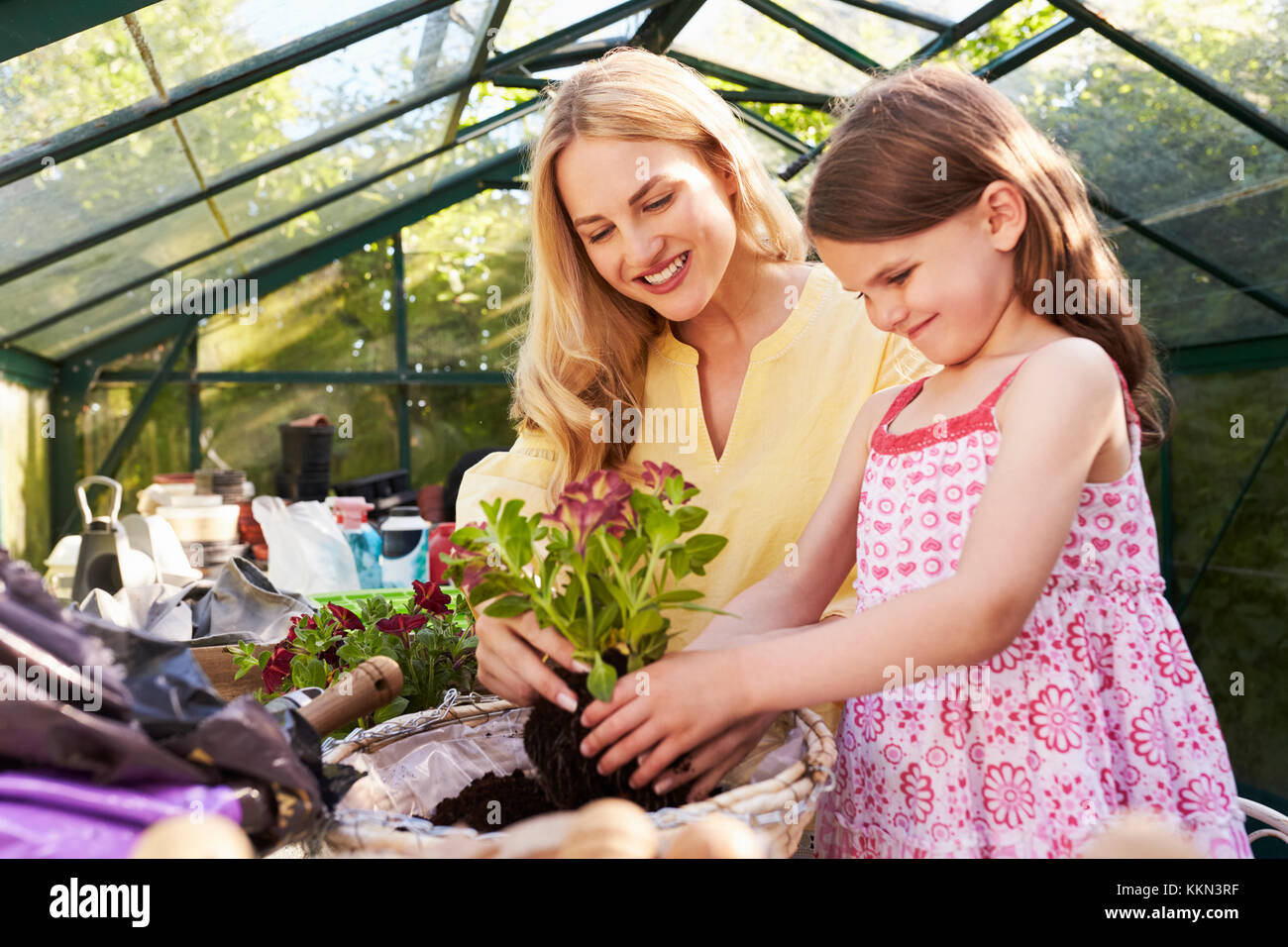 Mother And Daughter Planting Hanging Basket In Greenhouse Stock Photo