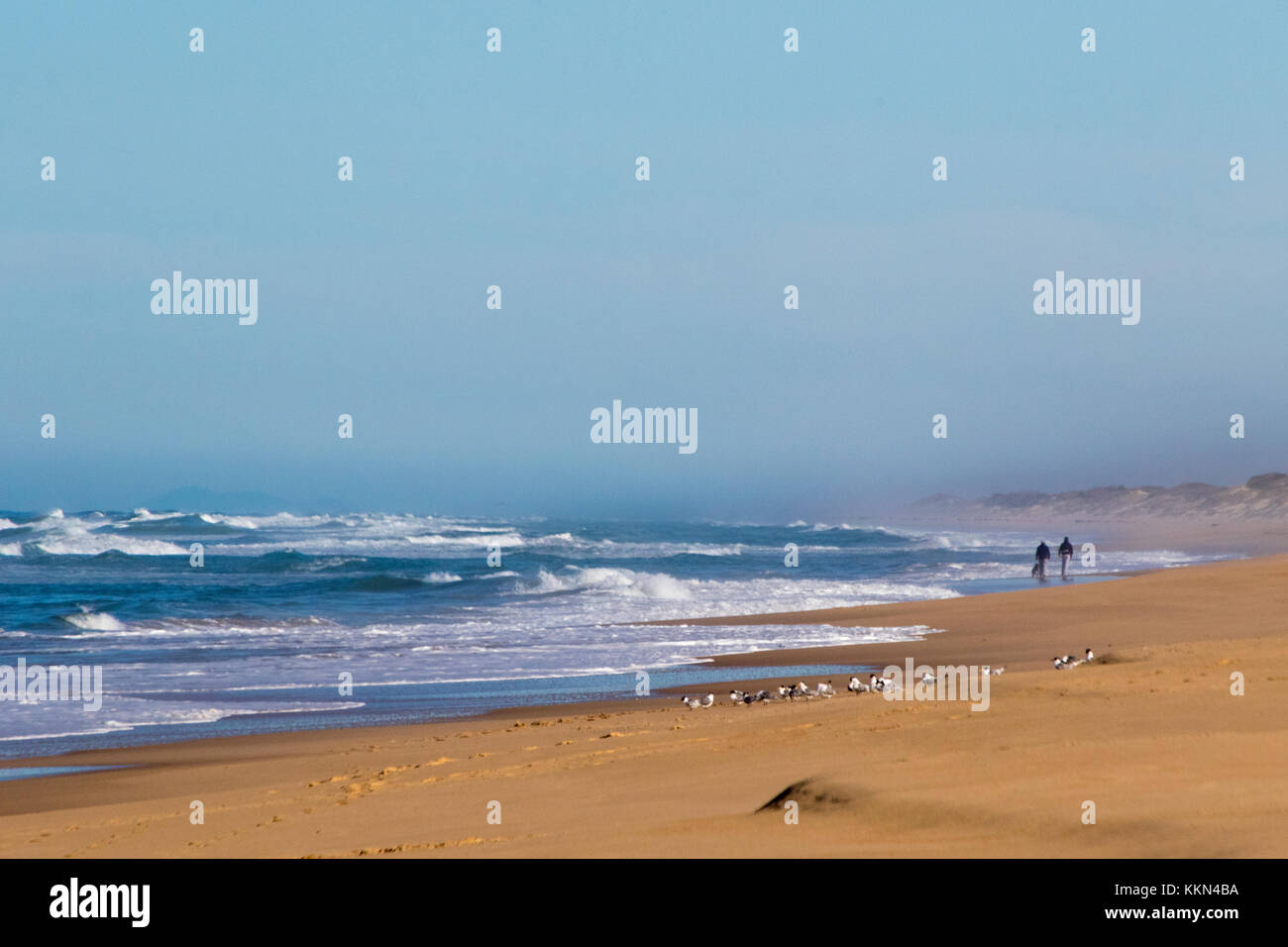 Australia, Gippsland, Mile Beach, Seaspray, Victoria *** Local