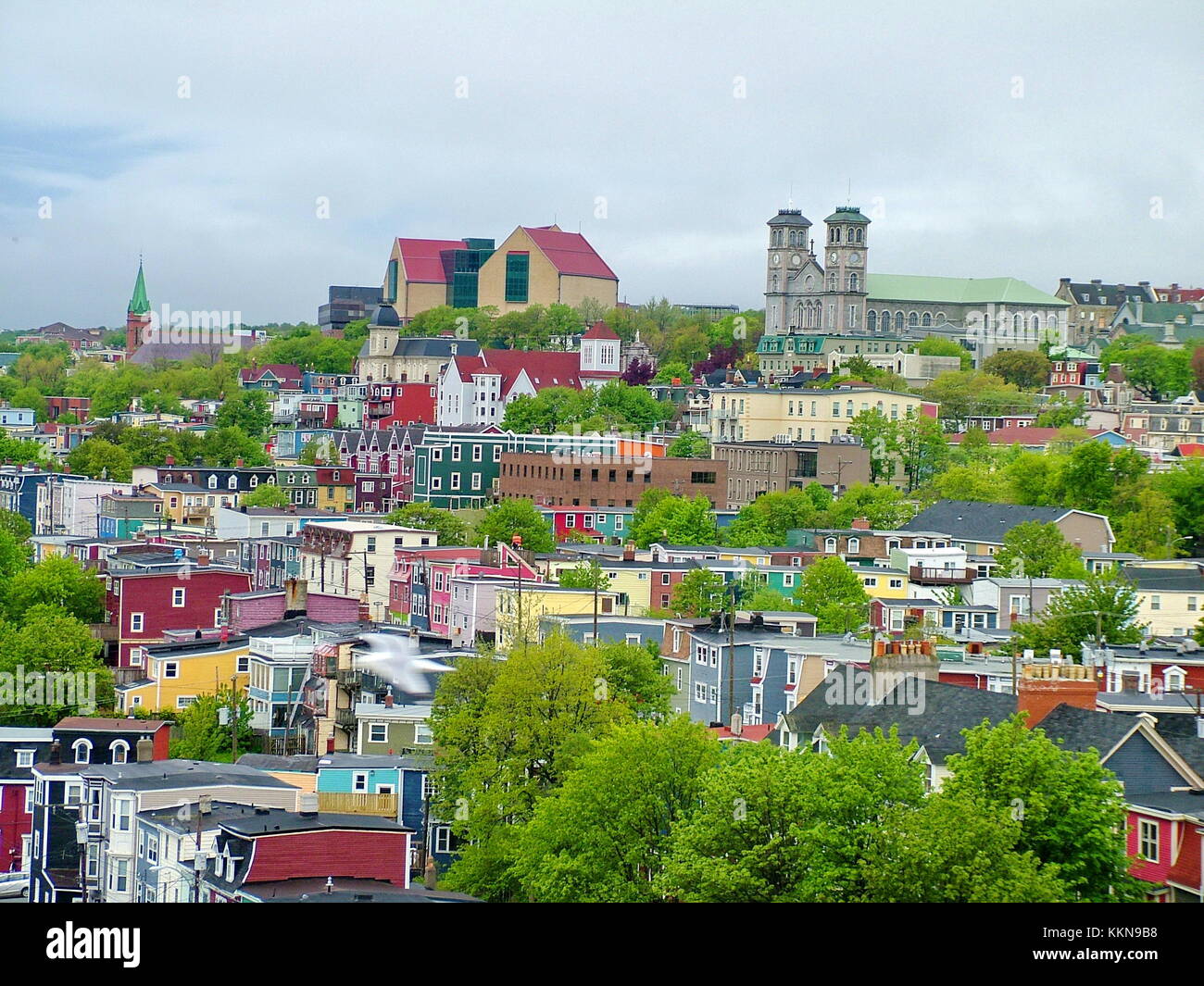Colorful houses in St. John's, Newfoundland, Canada Stock Photo Alamy