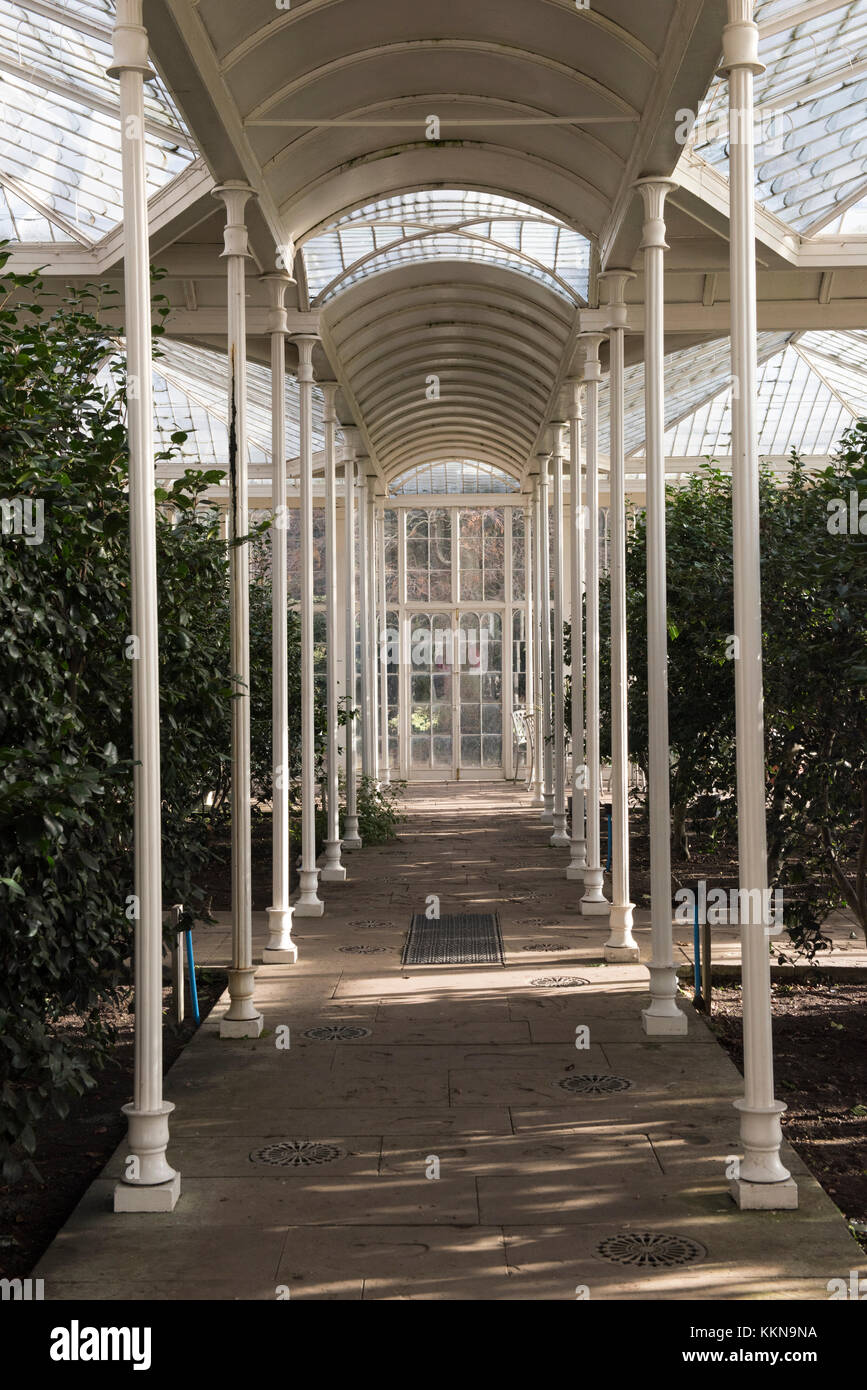 Wollaton hall interior hi-res stock photography and images - Alamy