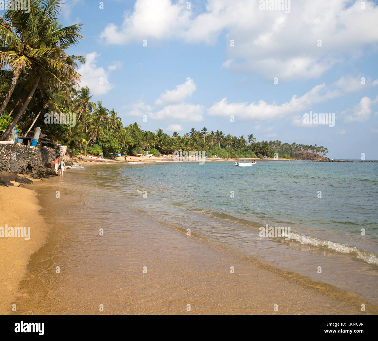 Tropical Sandy Beach And Coconut Palm Trees Curving Around A Bay