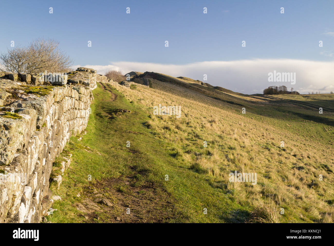 Hadrian's Wall at Cawfields, Northumberland Stock Photo - Alamy