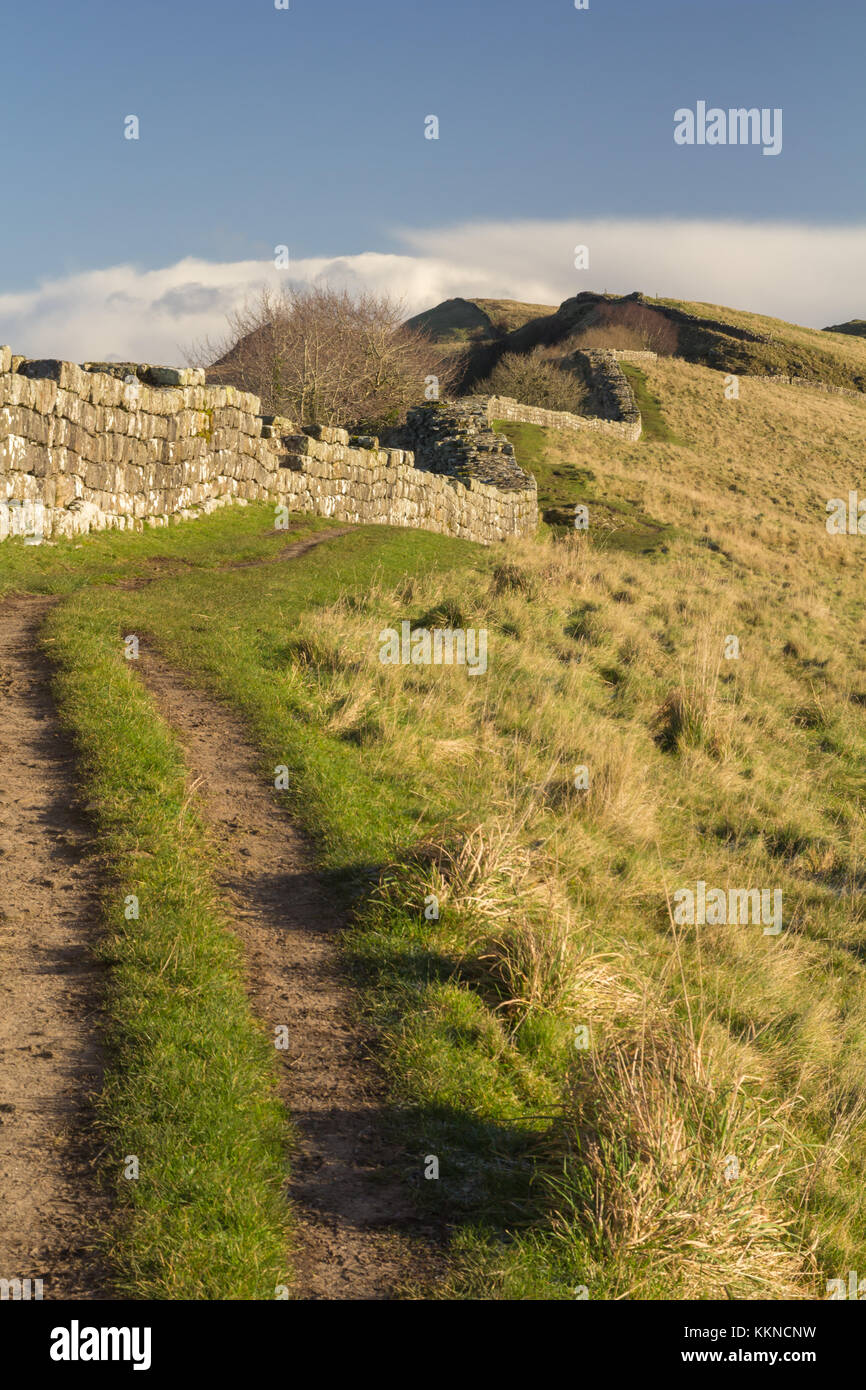 cawfields-high-resolution-stock-photography-and-images-alamy