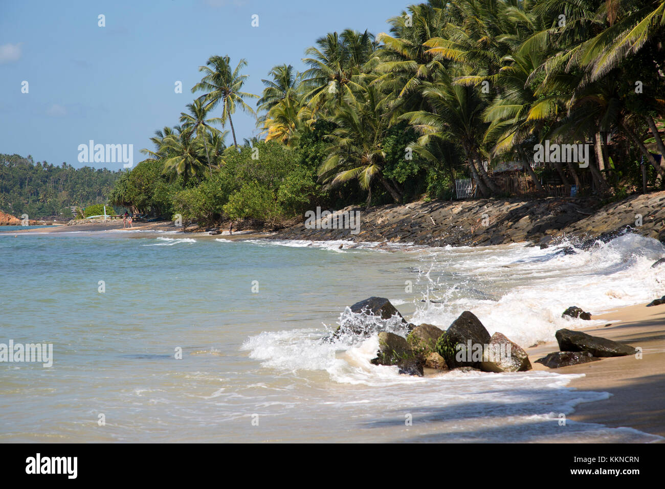 Tropical landscape of palm trees and sandy beach, Mirissa, Sri Lanka ...