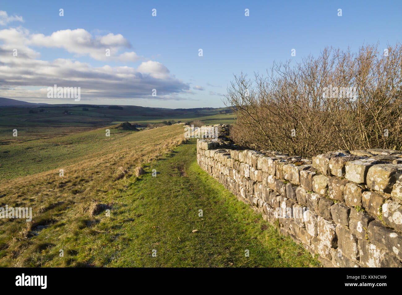 Hadrians Wall At Cawfields Northumberland Stock Photo Alamy