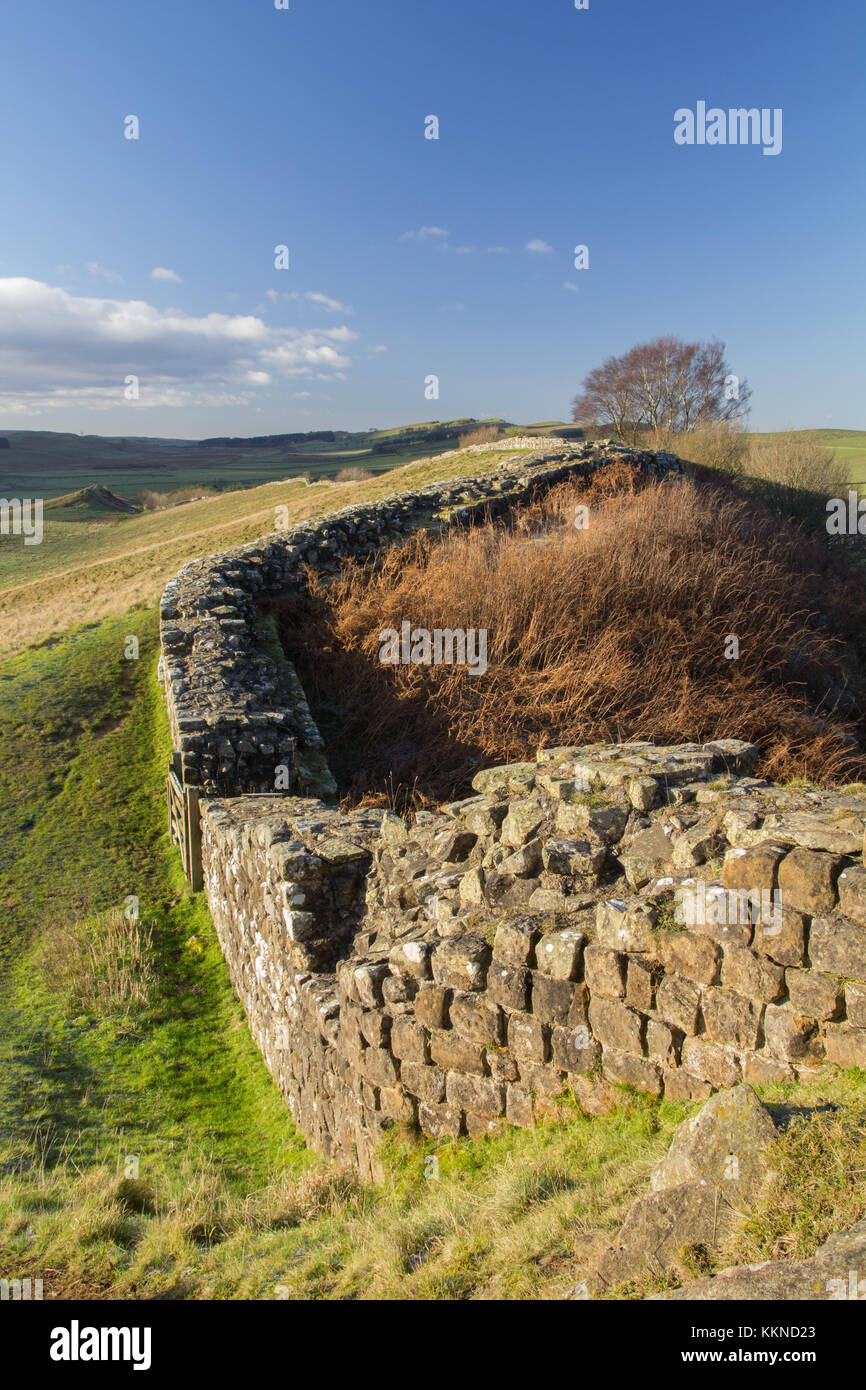 Hadrian's Wall at Cawfields, Northumberland Stock Photo - Alamy