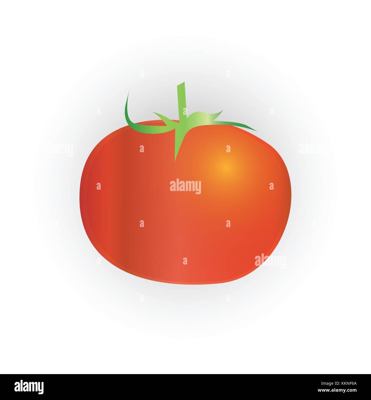 red ripe tomato vector illustration isolated on white backgroud Stock Photo