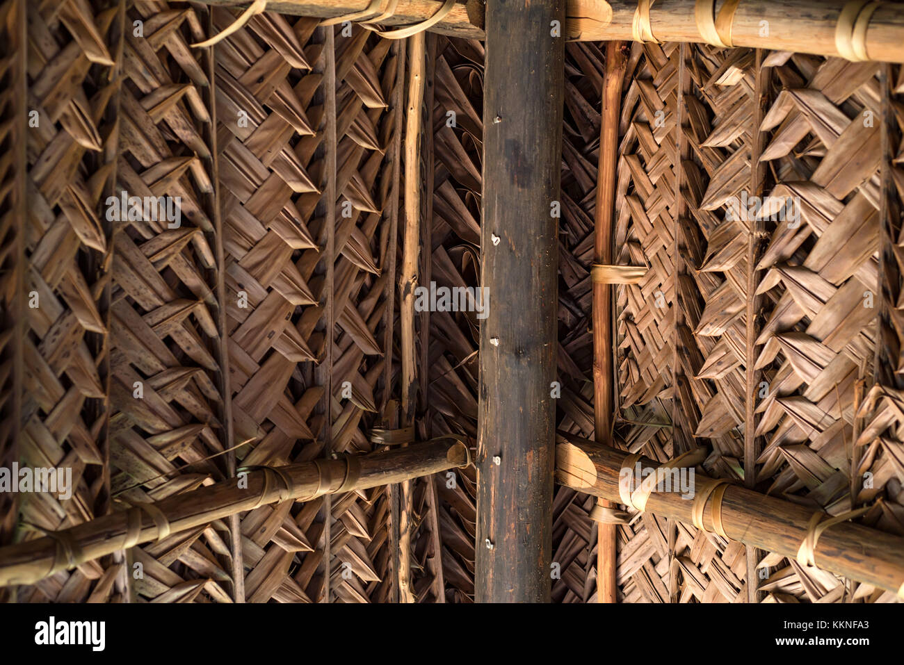 Dry Coconut Stock Photos & Dry Coconut Stock Images Alamy