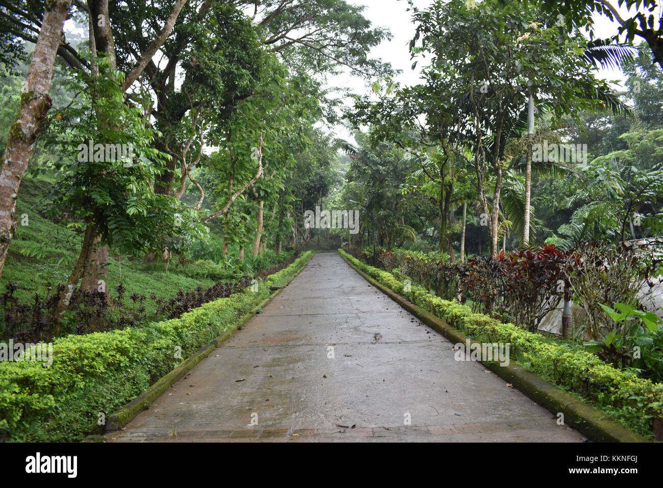 Nature at its best Stock Photo - Alamy