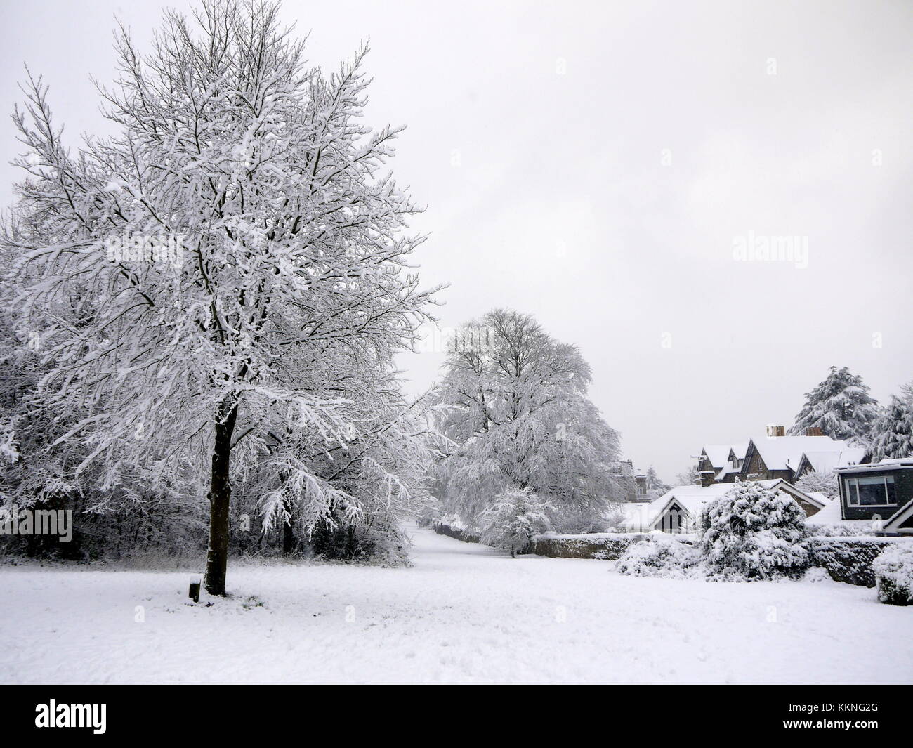 Winter snow at Clifton Downs Bristol England Stock Photo - Alamy