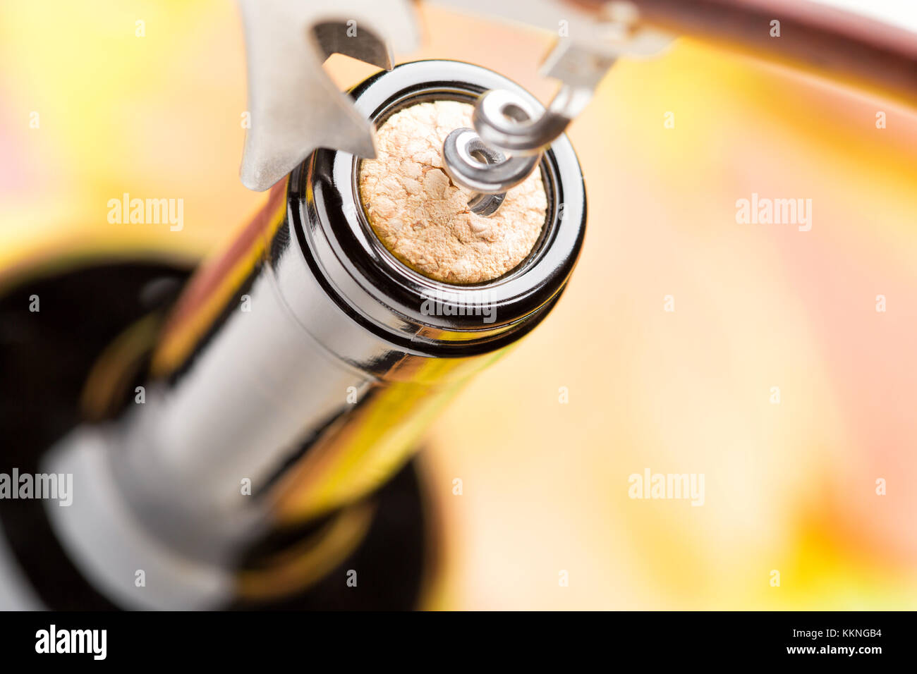 a-closed-bottle-of-red-wine-with-corkscrew-top-view-against-a