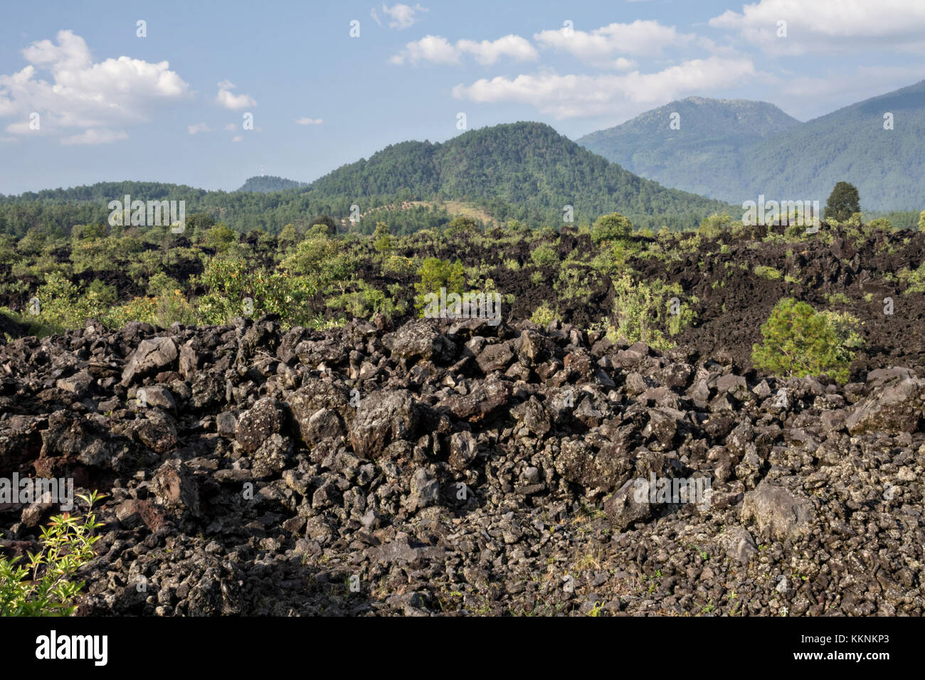 A sea of dried lava rock in the remote village of San Juan Parangaricutiro, Michoacan, Mexico. This area was covered in an eight-year eruption of the Paricutin volcano which consumed two villages in 1943 and covered the region in lava and ash. Stock Photo