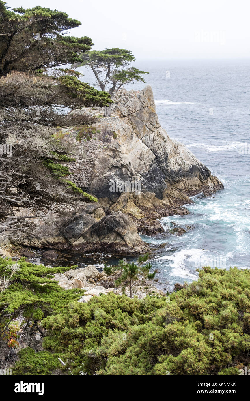 Cypress Point, Pebble Beach, California, USA Stock Photo Alamy