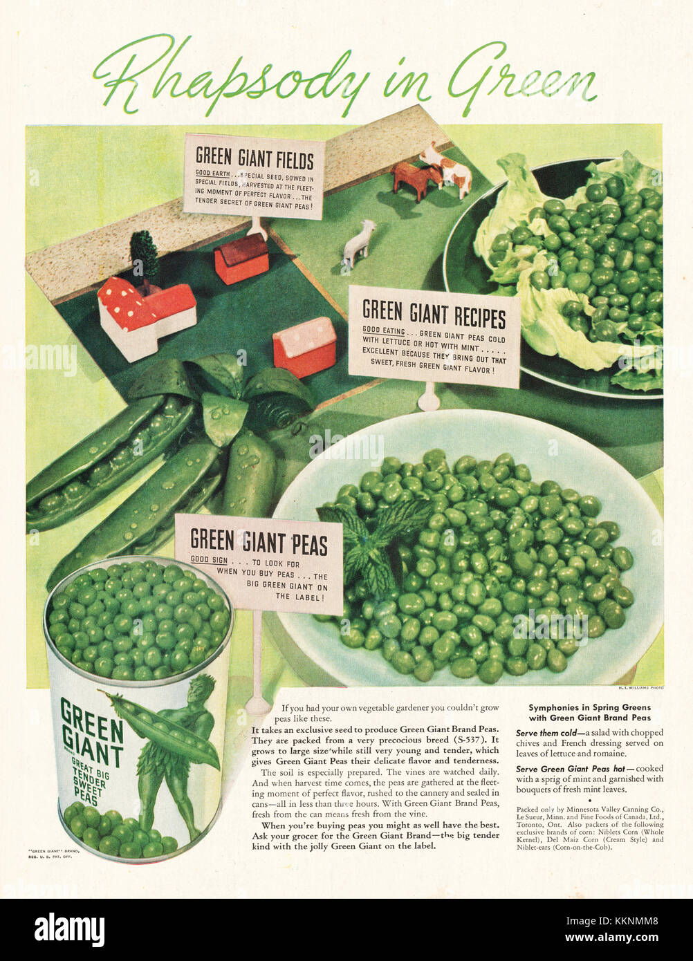 1940 U.S. Magazine Green Giant Peas Advert Stock Photo Alamy