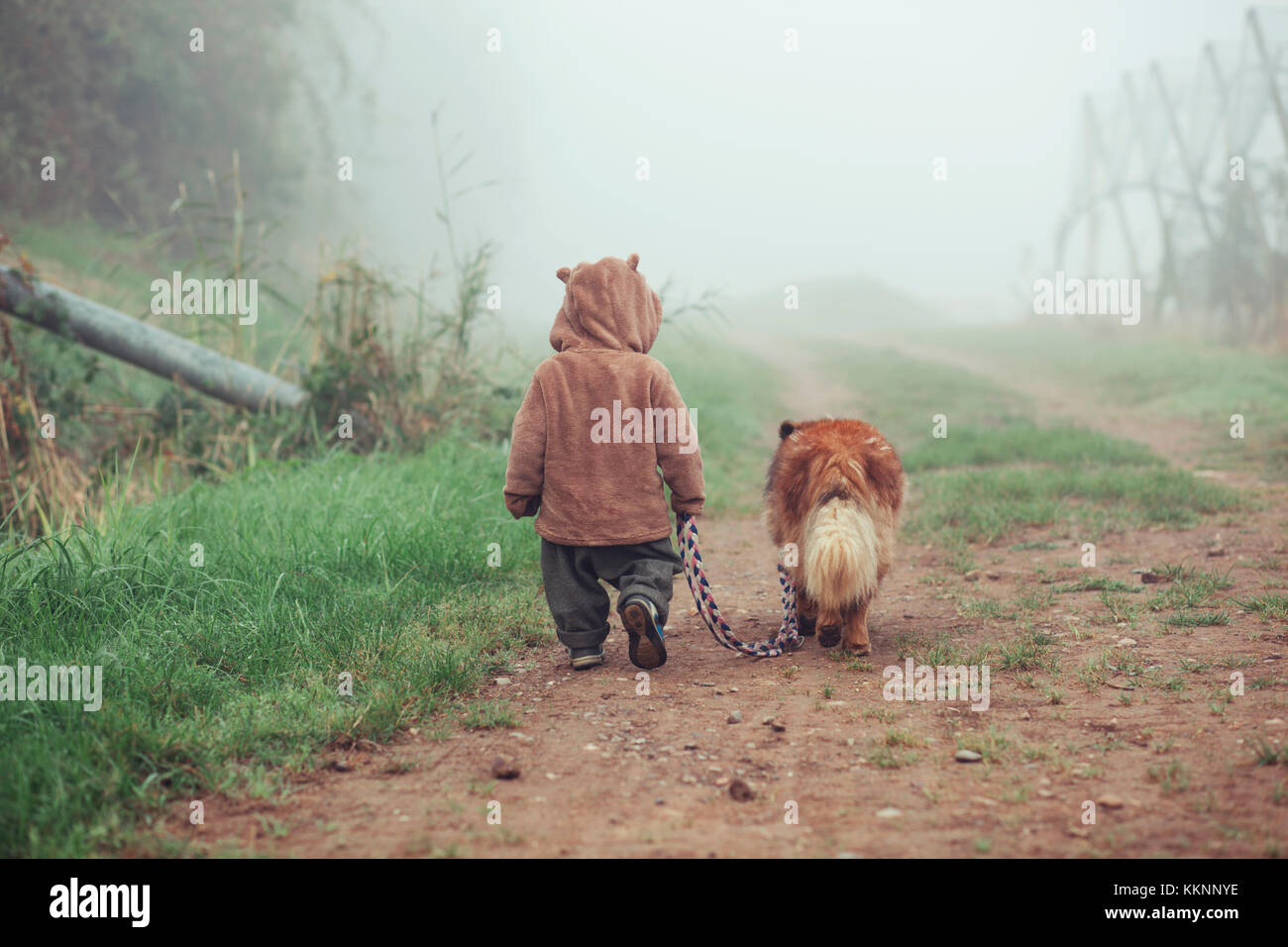 Toddler is walking with dog in the fog Stock Photo