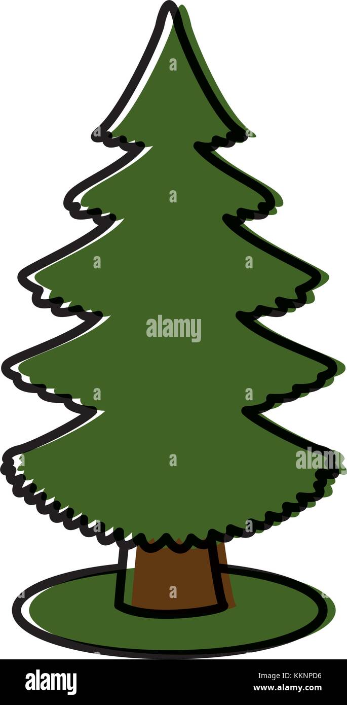 Tree pine isolated Stock Vector Image & Art - Alamy