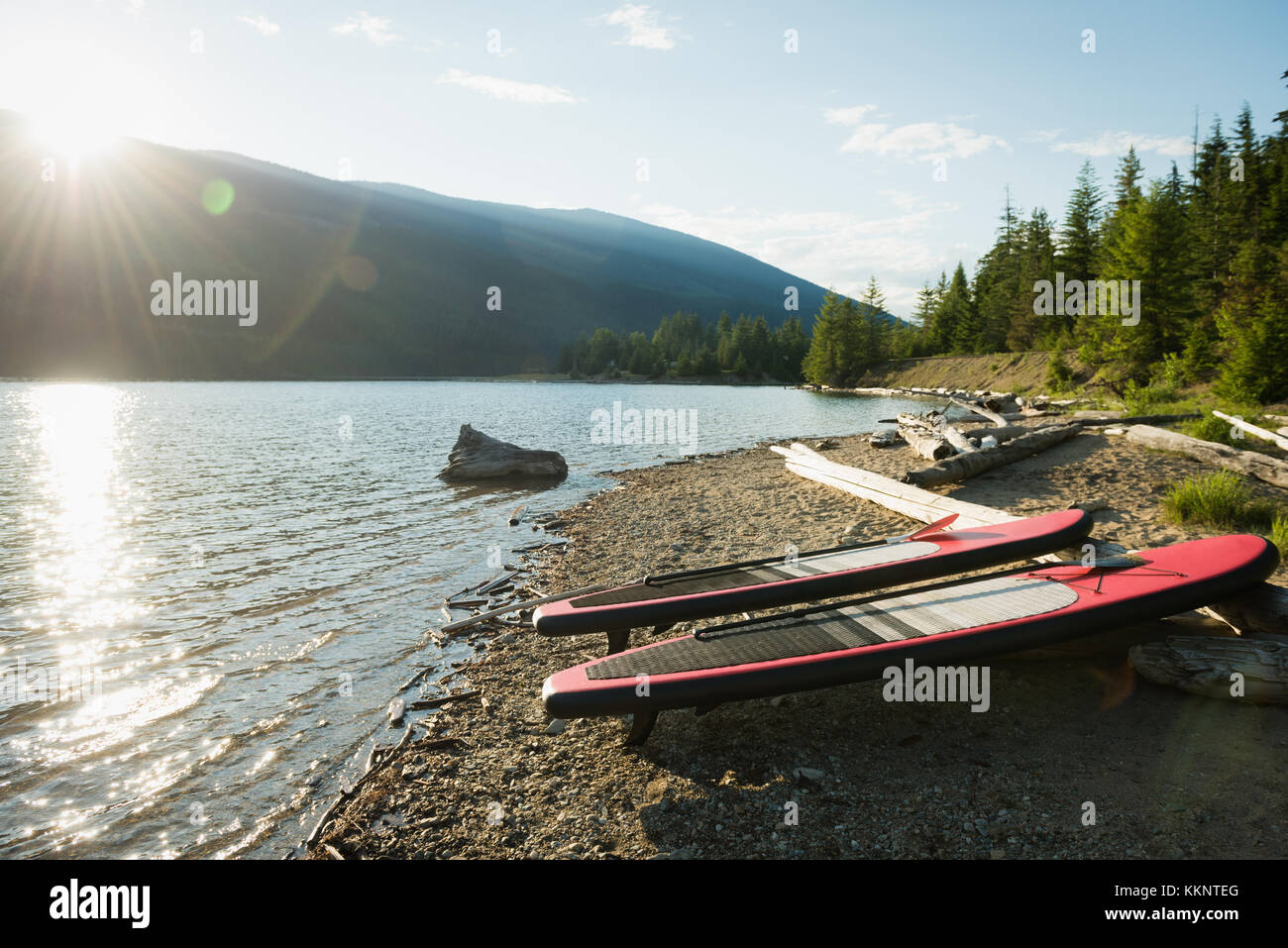 Stand up paddleboard near river side Stock Photo Alamy