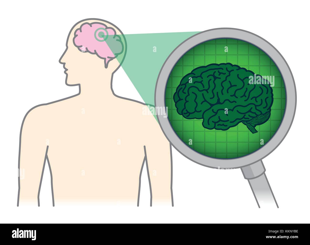 Looking inside of the human brain with Magnifying glass. Stock Vector