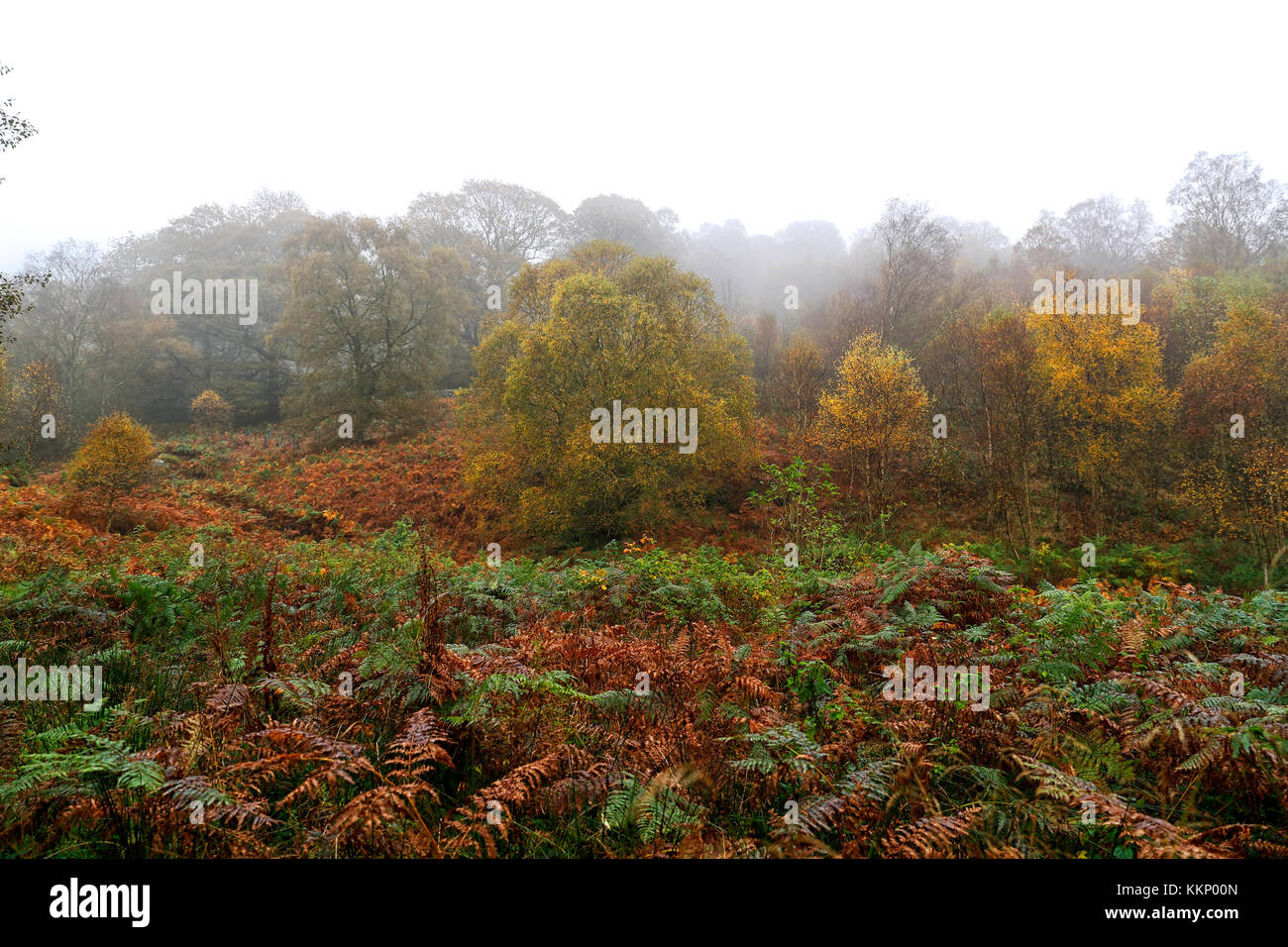 Low cloud over the Washburn valley, Nidderdale, in autumn on a cold wet morning. Stock Photo