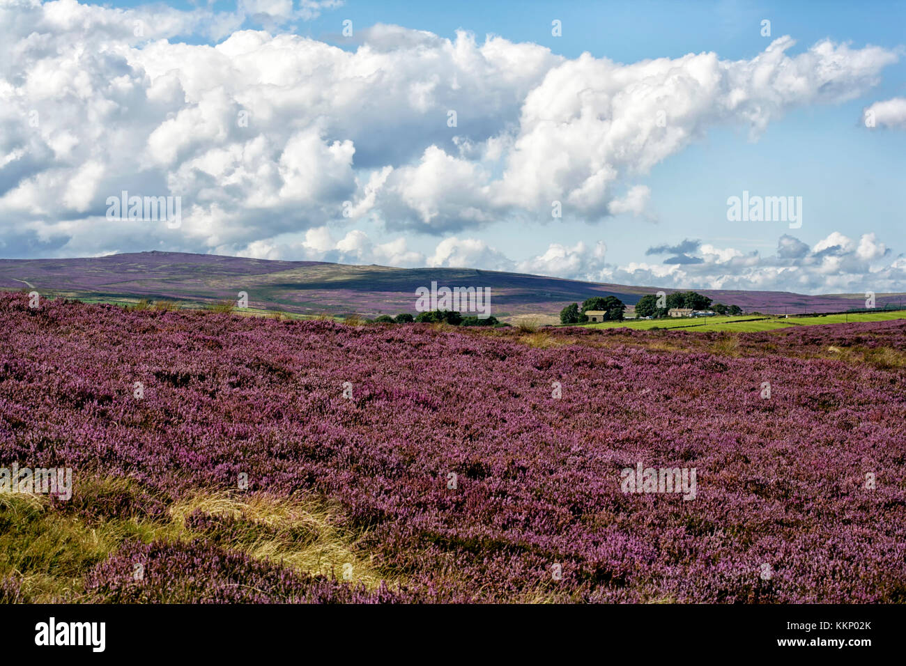 Views over the Washburn valley from Blubberhouses moor showing a