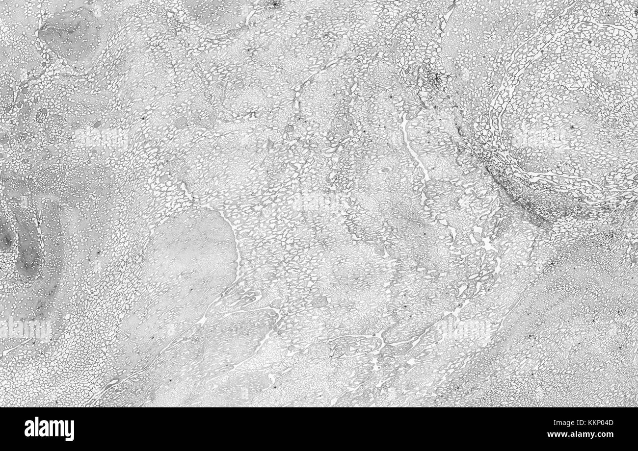 black marble background Stock Photo Alamy