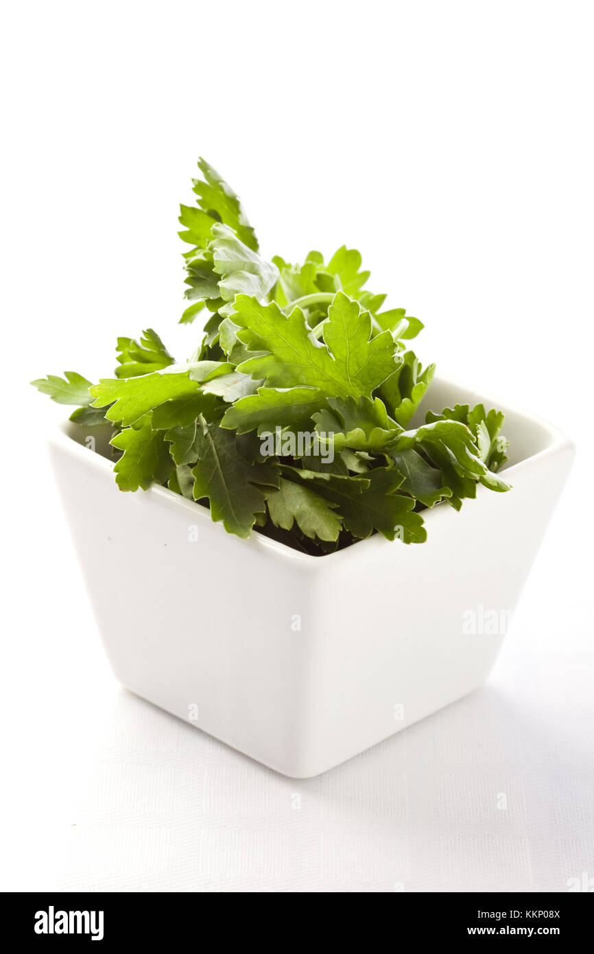 photo of fresh green parsley on white isolated background Stock Photo ...