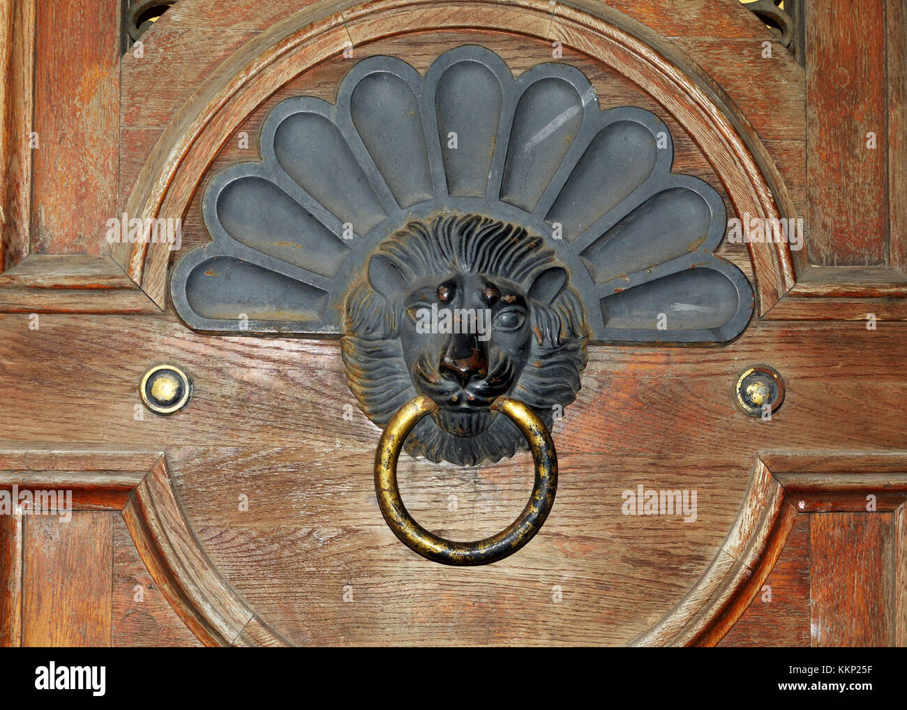 handle in the form of a Lion mounted on wooden doors Stock Photo - Alamy