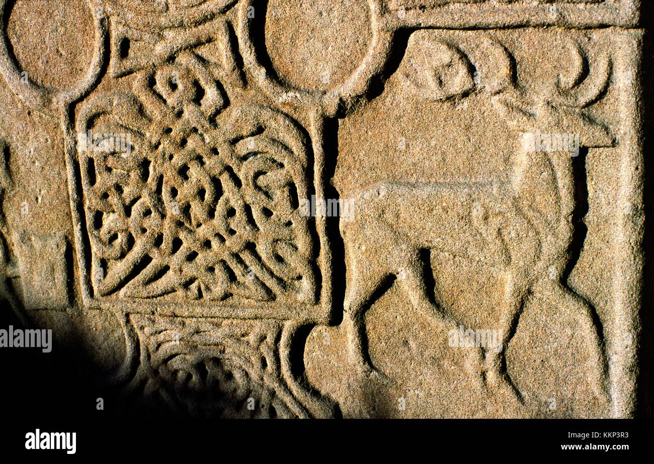 Detail of Eassie carved stone Celtic Pictish Christian cross slab near Coupar Angus, Tayside, Scotland. Knotwork and deer stag Stock Photo