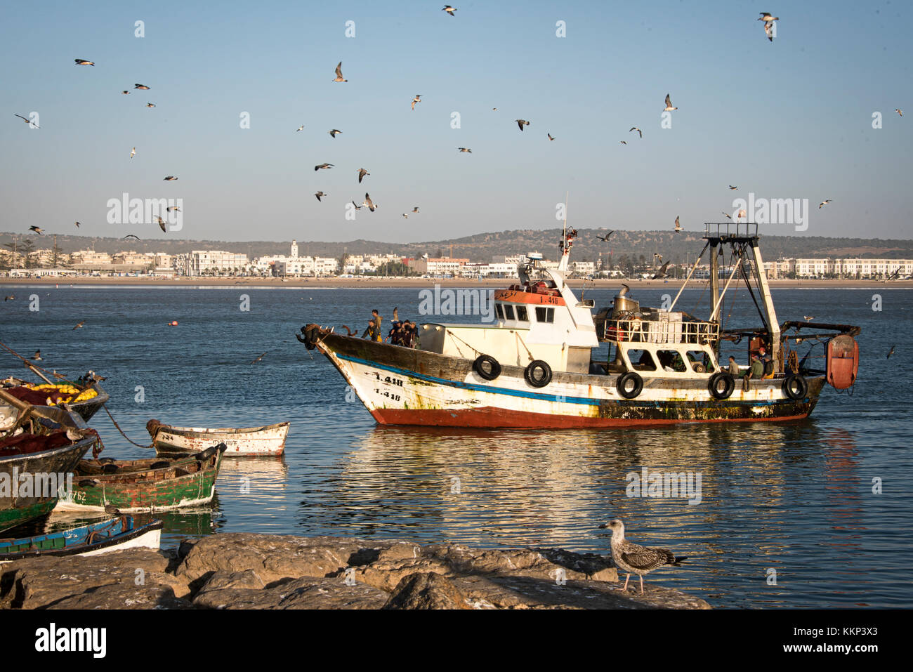 Fishing boat returning to harbour Stock Photo - Alamy
