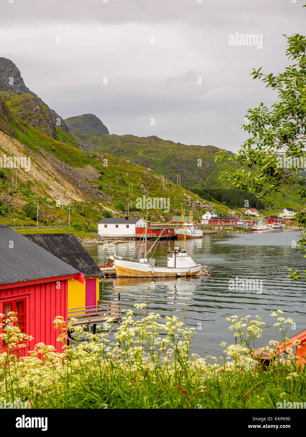 Fishermans huts in Ballstad, Lofoten Islands, Norway.  The fisher houses on stilts are called rorbur. Stock Photo