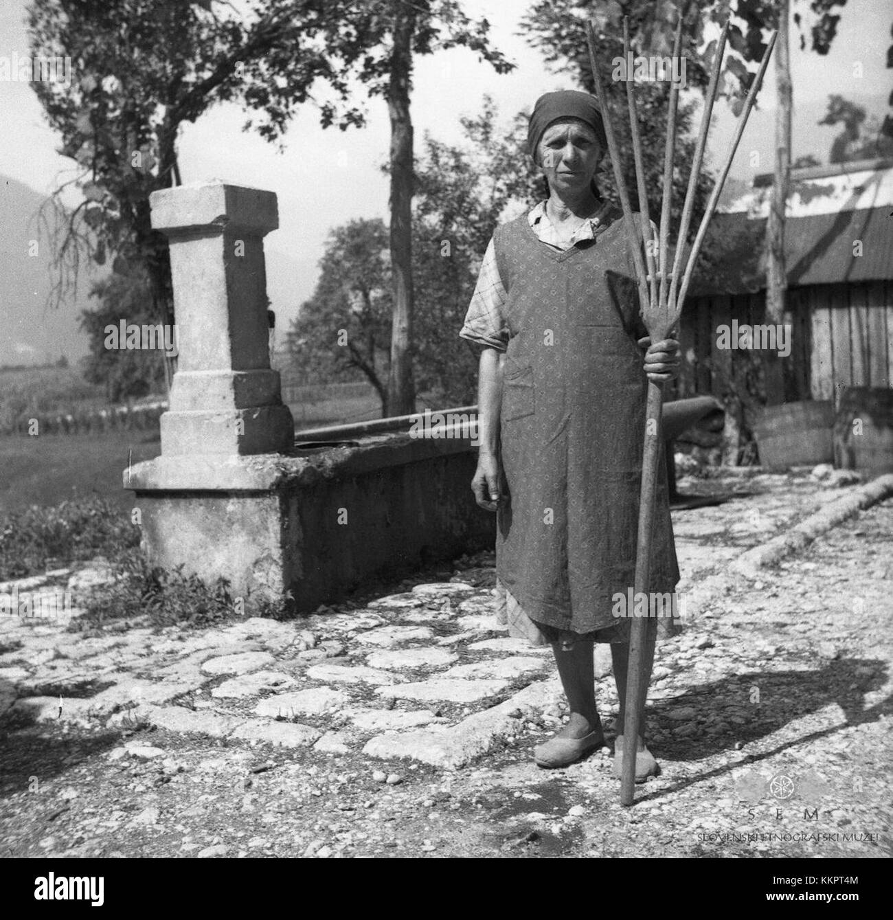 Lesene vile za seno, Ana Kravanja, Kal 1952 Stock Photo