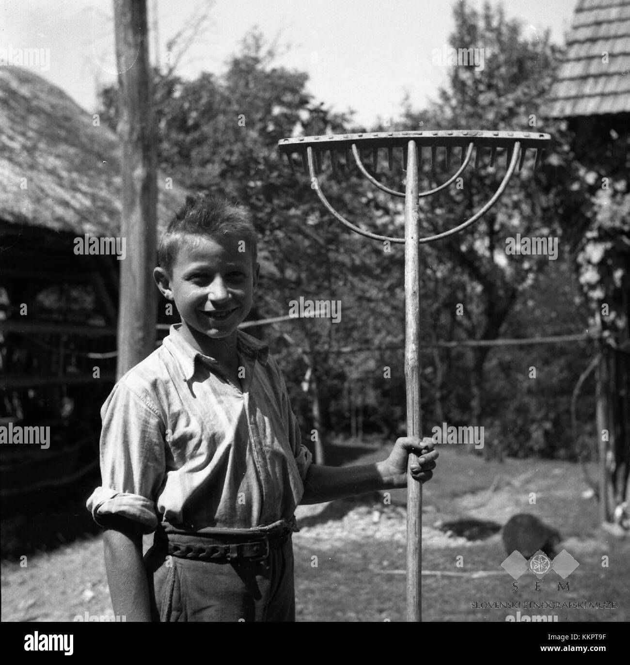 This historical tool, a double-harvest rake crafted by Anton Bele in ...