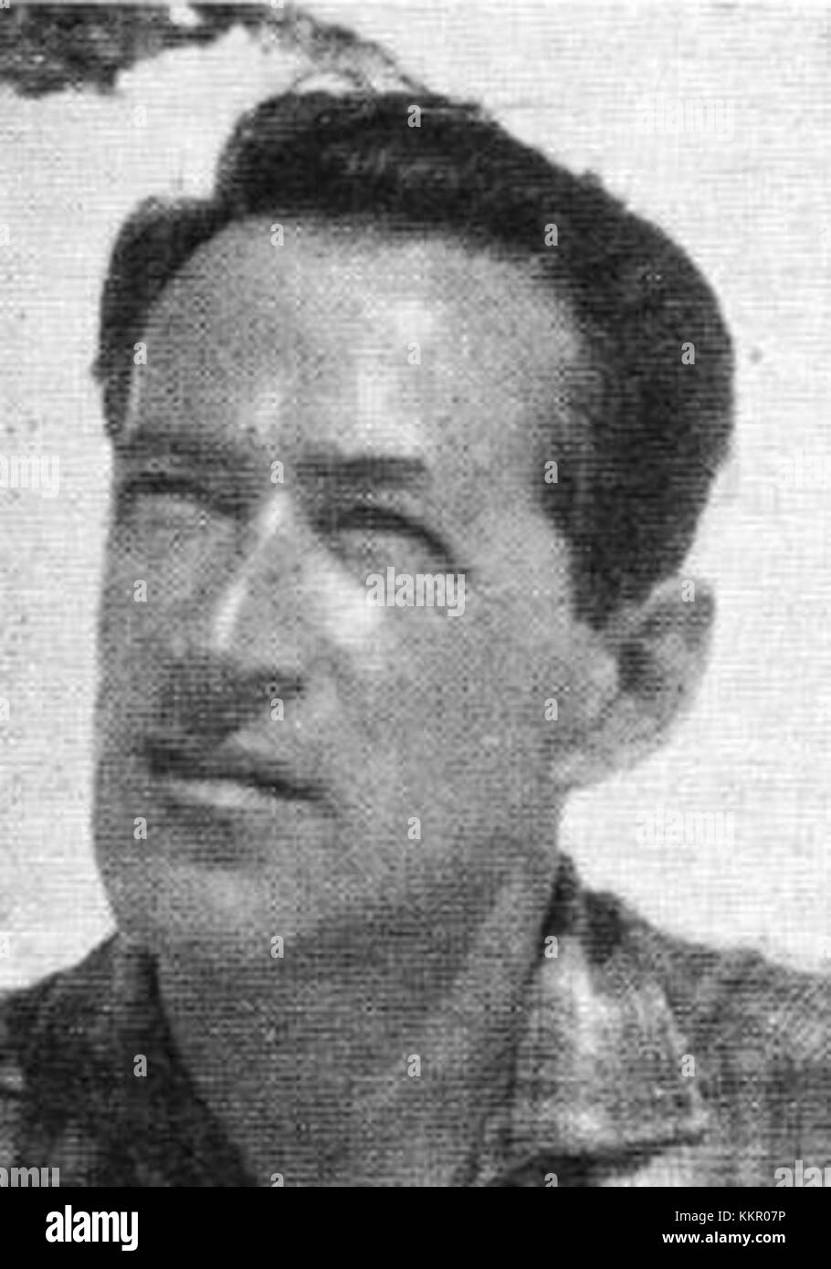 Mirko Steel