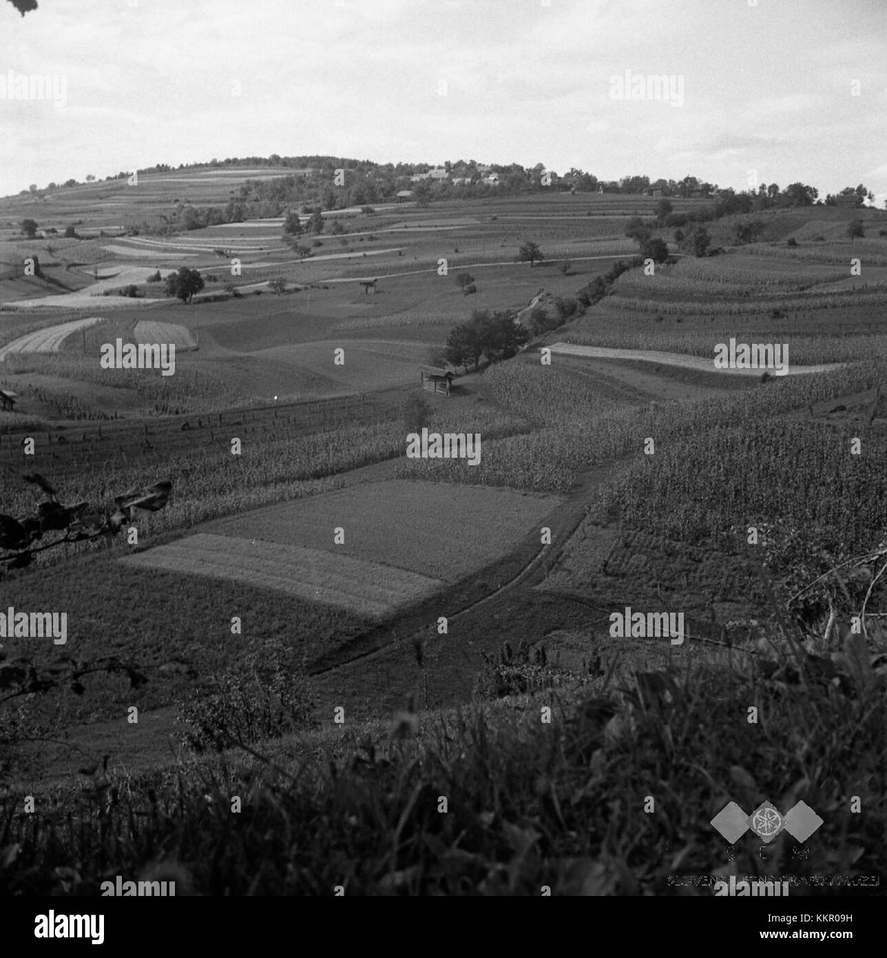 Vas Reber's work from 1957 represents a key moment in the artist's ...
