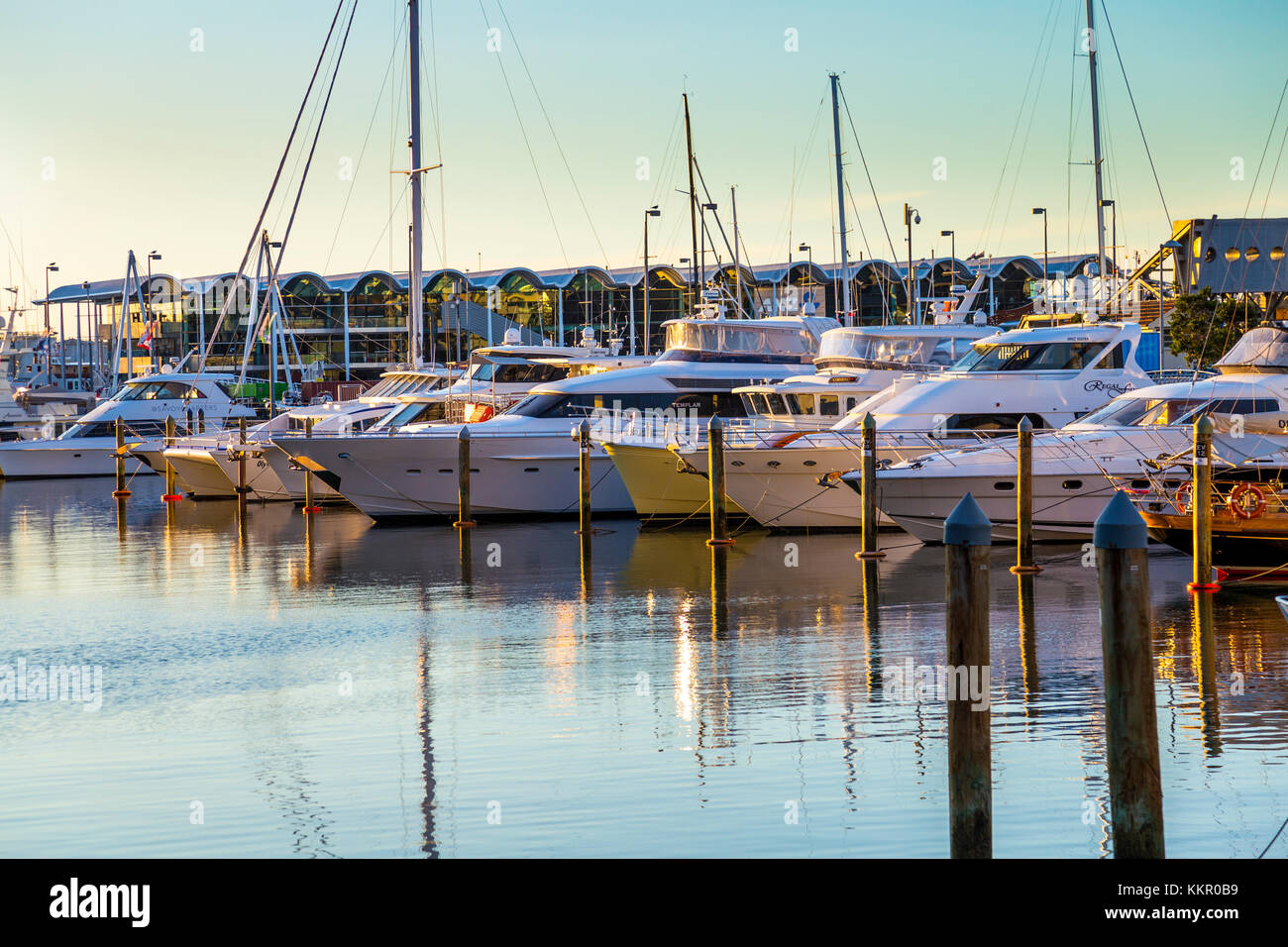 Boats in a harbour marina at sundown, Auckland, New Zealand Stock Photo