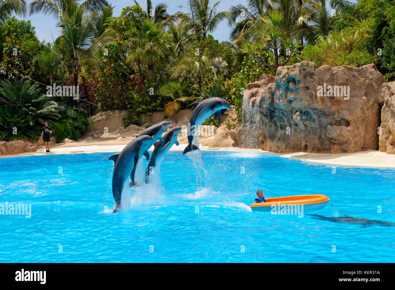 Dolphin show in the dolphinarium of the Loro Parque in Puerto de la Cruz, Tenerife, Canary Islands, Spain Stock Photo